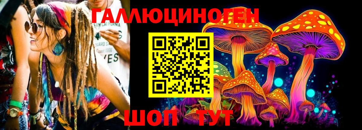 Псилоцибиновые грибы Psilocybine cubensis Ялуторовск